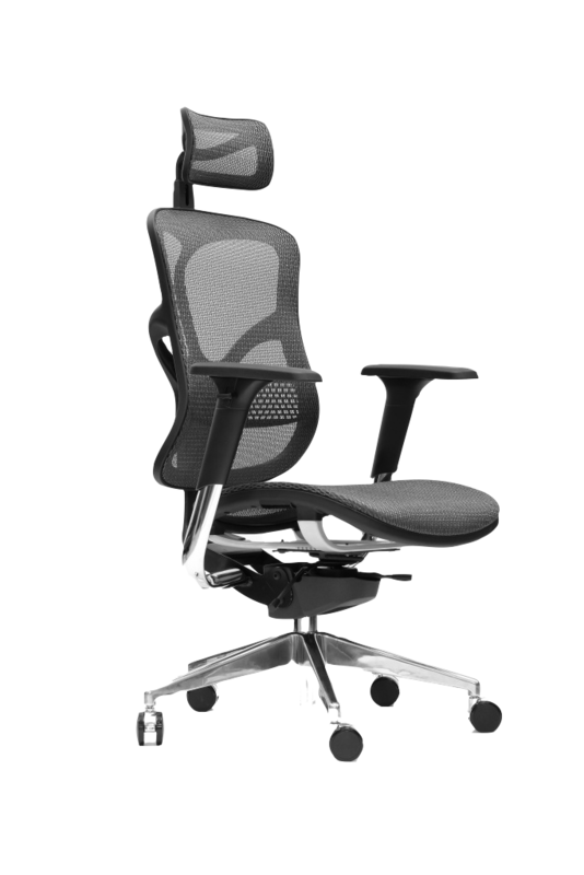 Spinergo Business
