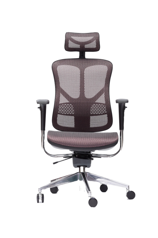 Spinergo Business