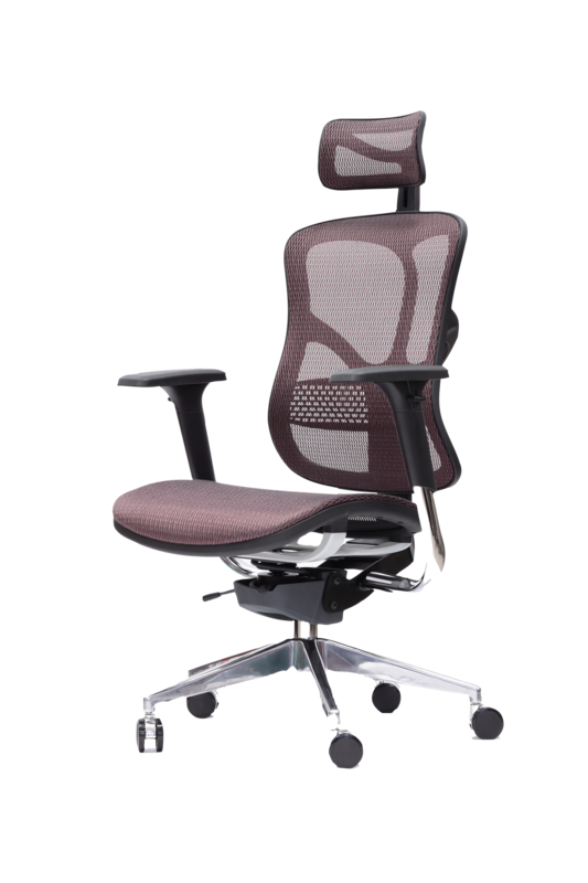 Spinergo Business
