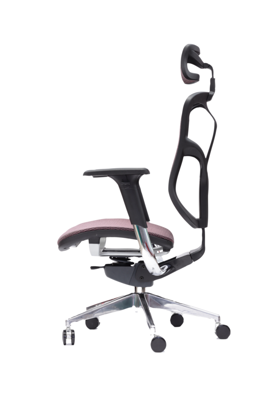 Spinergo Business