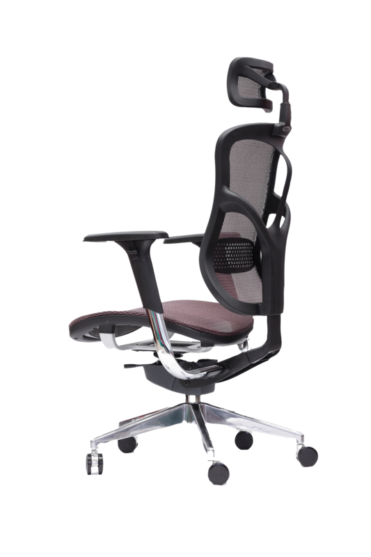 Spinergo Business