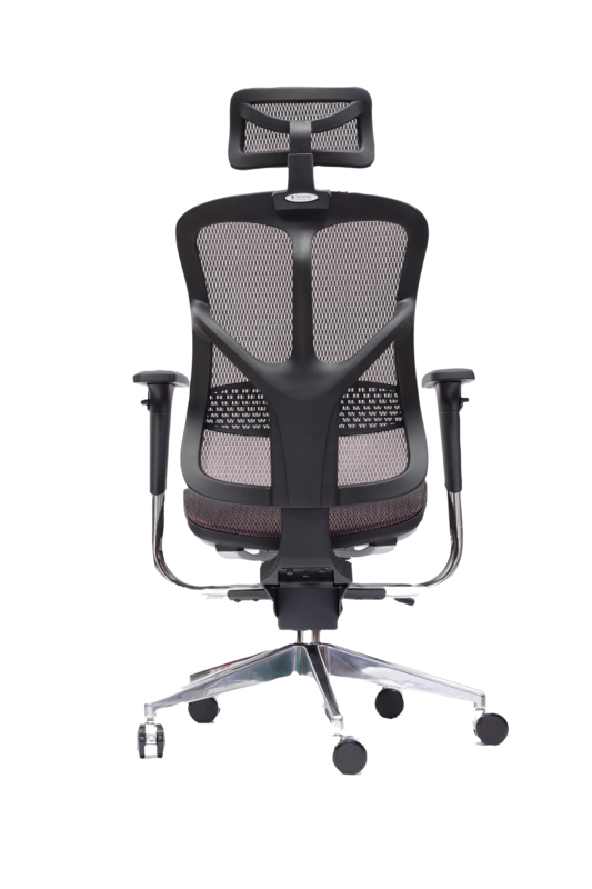Spinergo Business