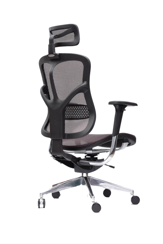 Spinergo Business