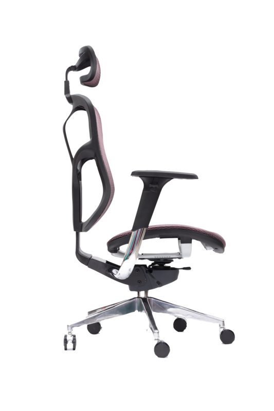 Spinergo Business