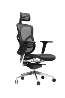 Spinergo Business