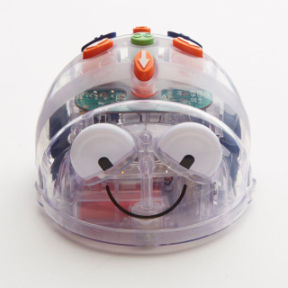 Blue-Bot robot